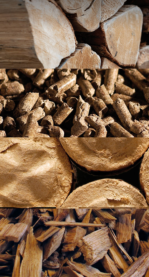 crepito-presentation